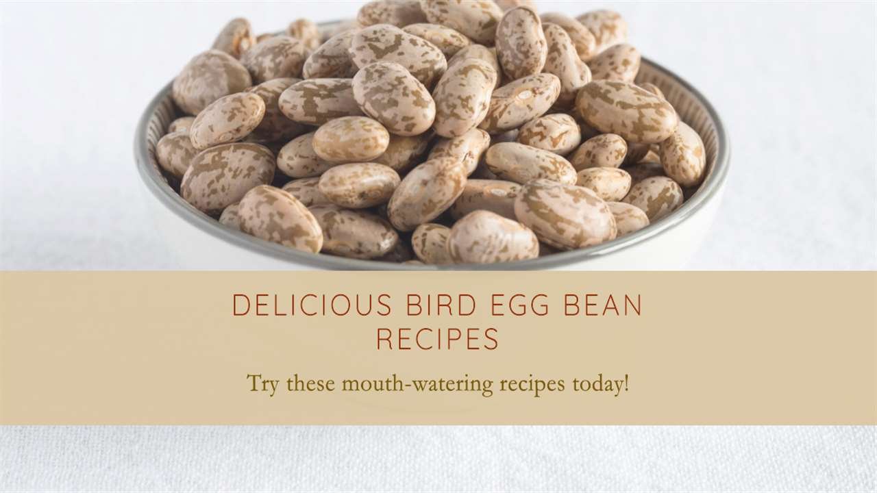 Bird Egg Beans Recipes
